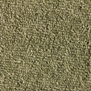 Tufting Duvardan Duvara Halı - Dinar Koyu Yeşil 15mm